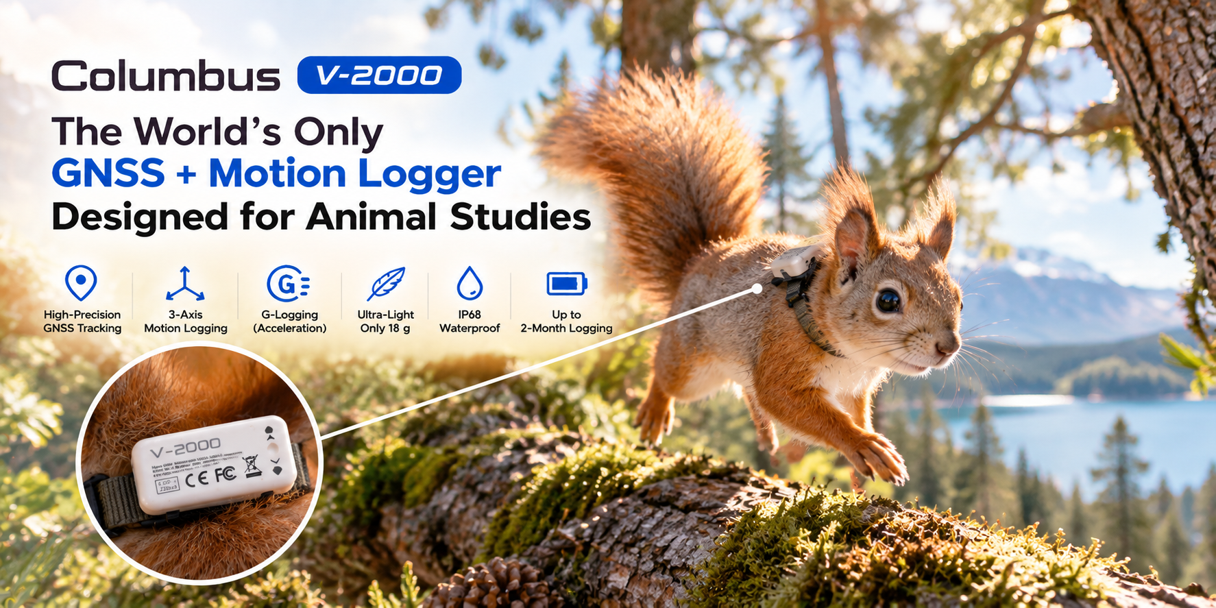 Columbus V-2000 on a squirrel for small-animal tracking